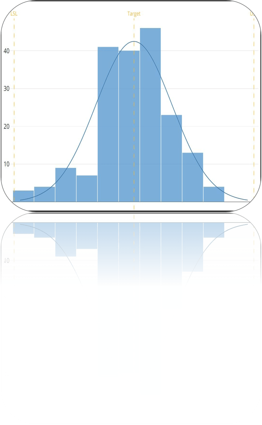 Capability Histogram